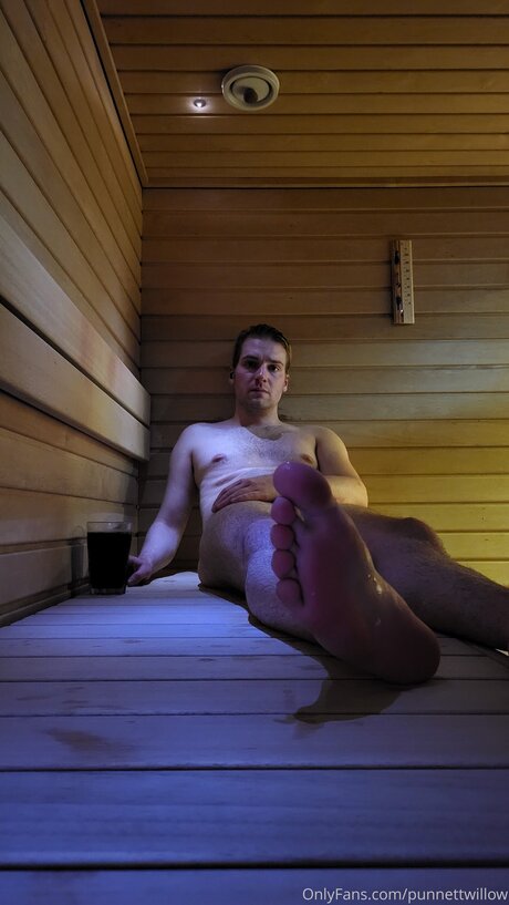 Punnettwillow hd schöne bilder