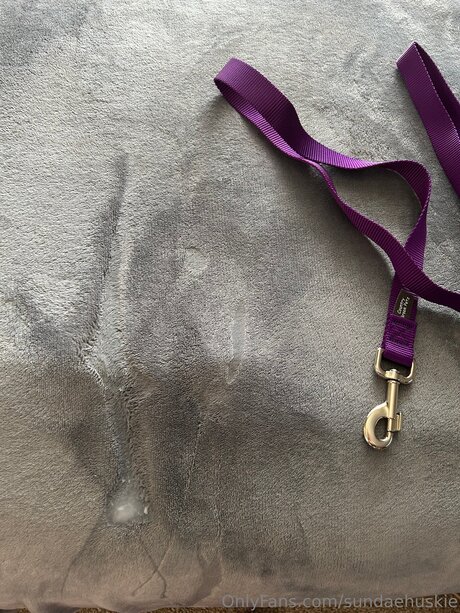 Sundaehuskie kunst sex archiv