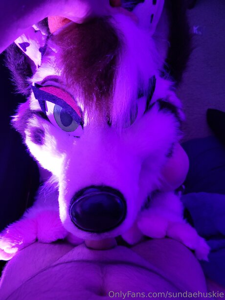 Sundaehuskie erwachsene nackte galerie