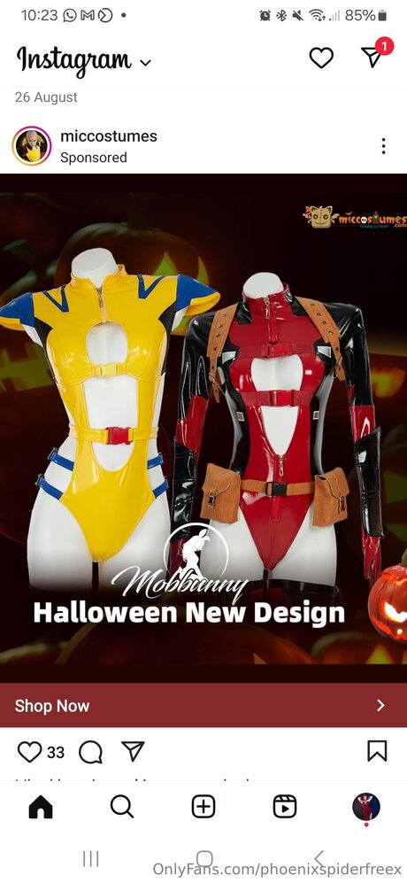 Phoenixspiderfreex kunst hübsche foto