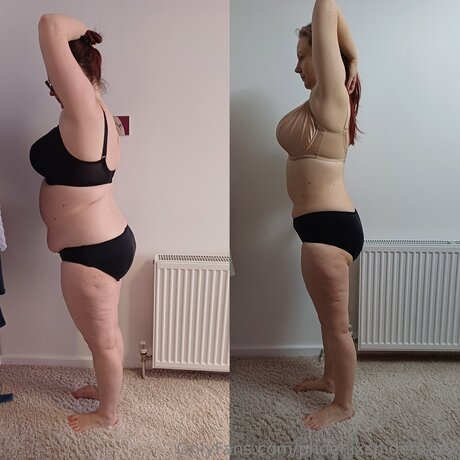 Phoenixspiderfreex freie exklusive foto