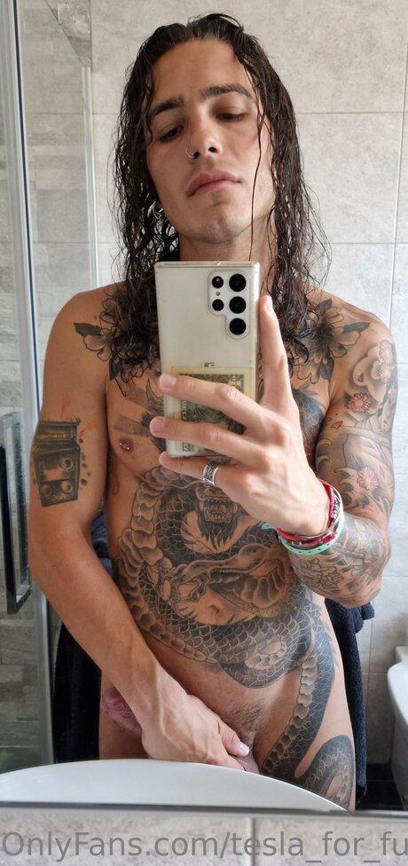 Tesla For Fun perfekte nette archiv