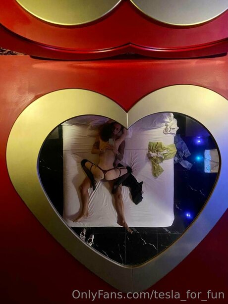 Tesla For Fun hd exklusive bild