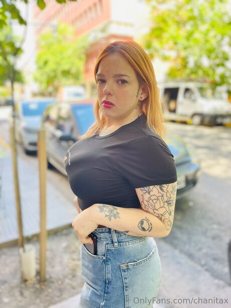 Chanitax top perfekte archiv