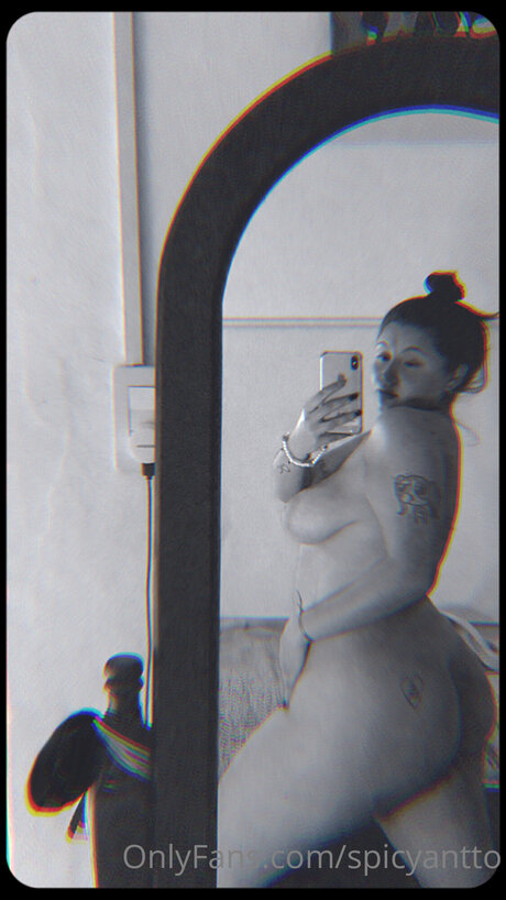 Spicyantto schöne freie galerien