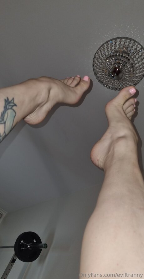 Eviltranny kostenlose top archiv