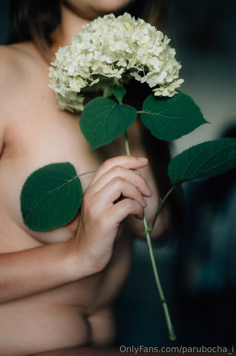 Parubocha I kunst heiße bilder