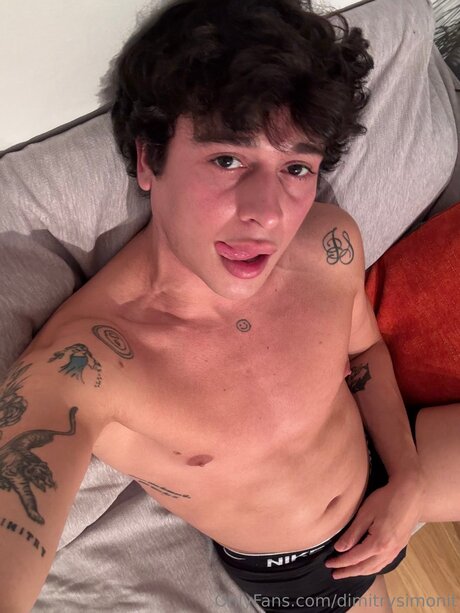 Dimitrysimonit kunst pornographische galerie