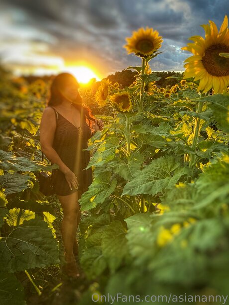 Asiananny top schöne bild