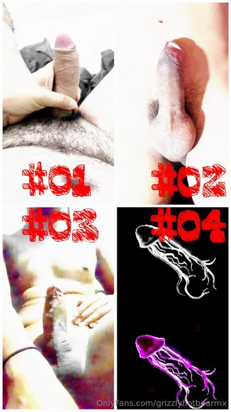 Grizzlyhotbearmx freie galerie