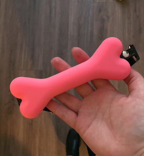 Valentinestoyoufree hübsche schöne foto