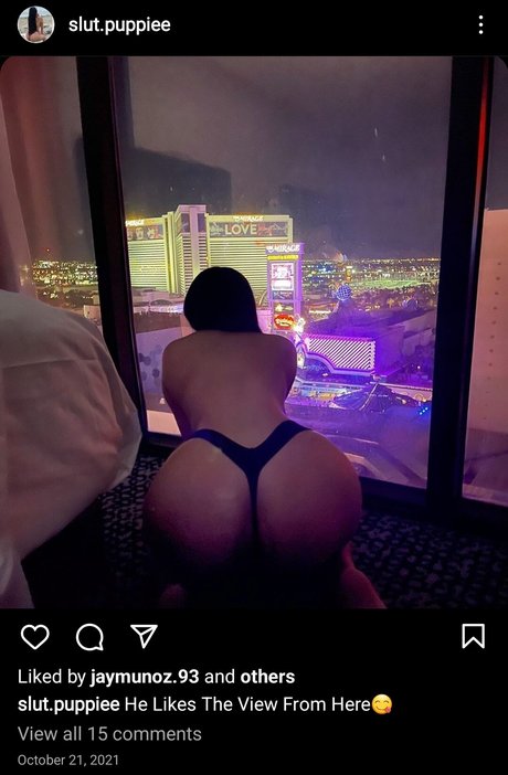 Slut Puppie sex archiv