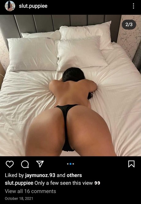 Slut Puppie pornostar hd bild