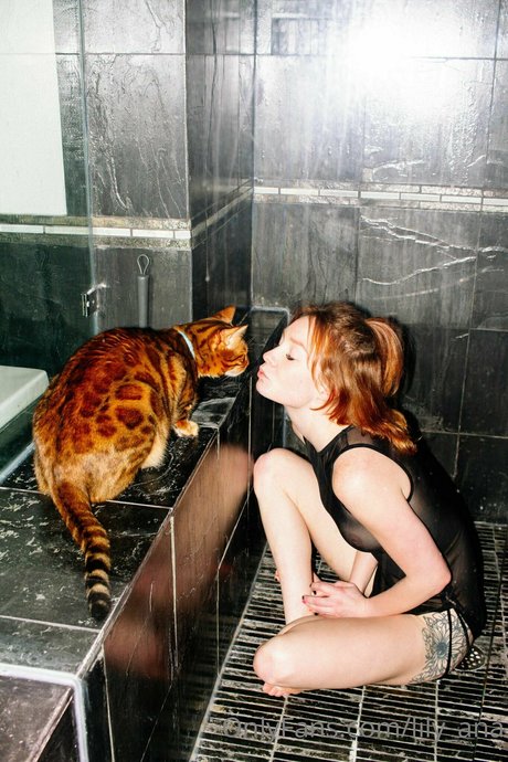 lily ana Bilder