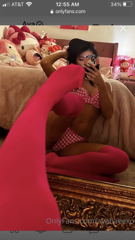 Ava Tortorici Bilder