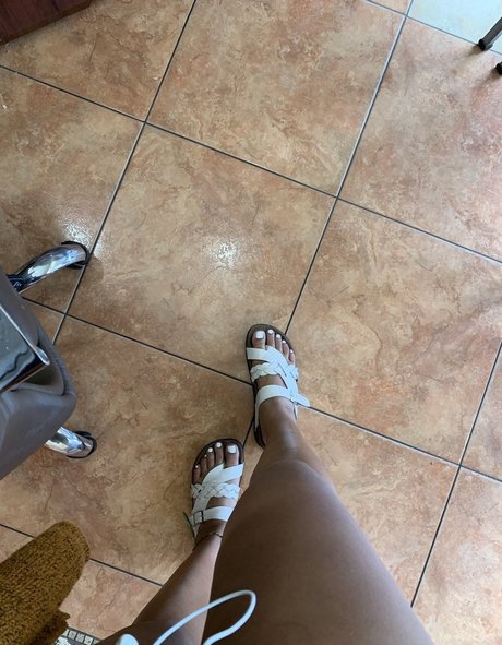 Worship my ass heiße pornostar galerien