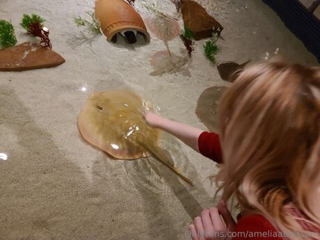 Ameliaablossom Profilbild