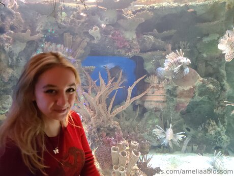 Ameliaablossom xxx top galerie