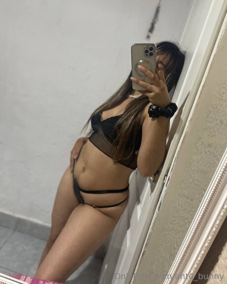 Anto Bunny porno schöne archiv