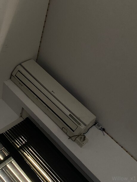 Rdk Willow Profilbild