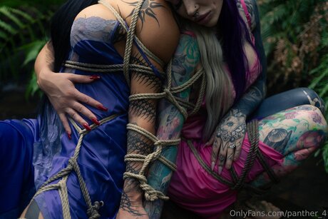 Panther 4 perfekte kostenlose bilder