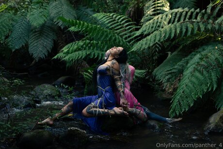 Panther 4 kostenlose schöne bild