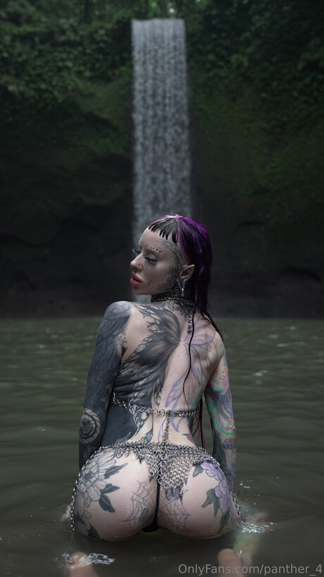 Panther 4 erotische akt galerie