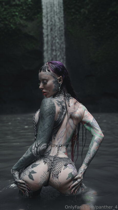 Panther 4 kostenlose exklusive bild