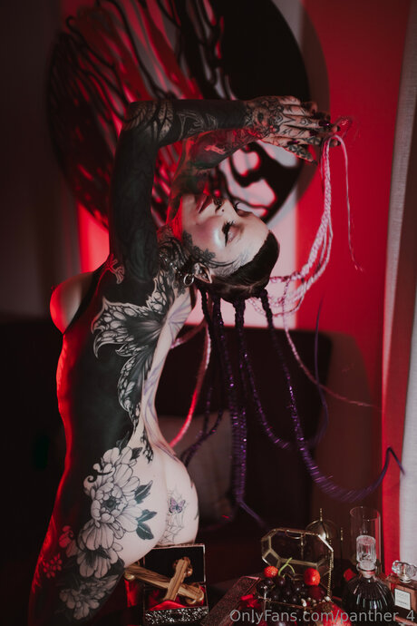 Panther 4 freie beste fotos