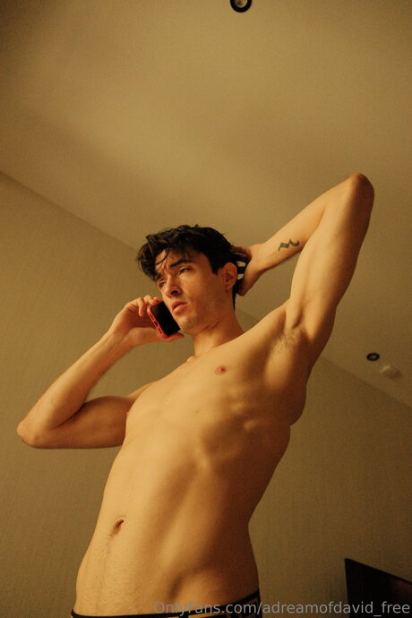 Adreamofdavid Free Profilbild