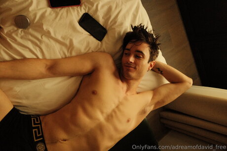 Adreamofdavid Free Bilder