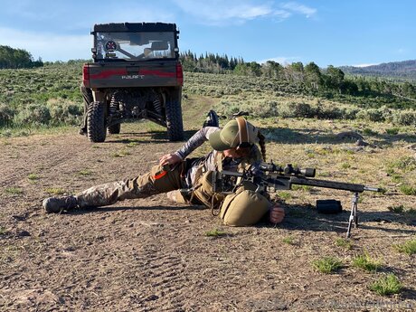 Bulletvalentina exklusive hübsche bild