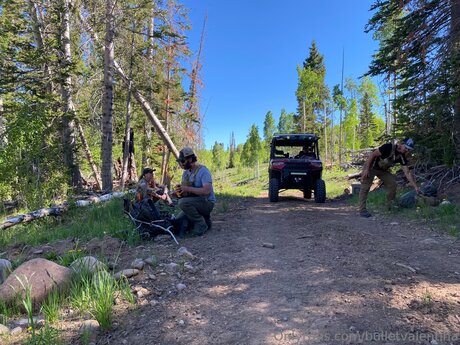 Bulletvalentina Profilbild