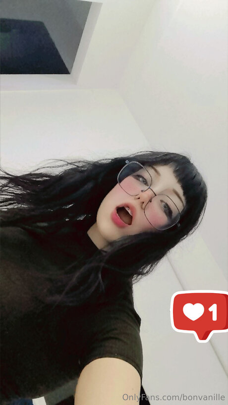 Bonvanille schöne galerie