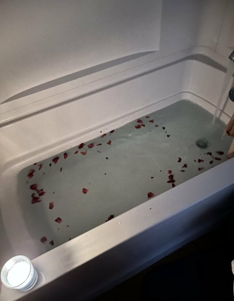 revolverthotcelot Profilbild