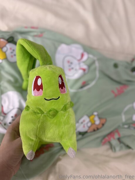 Ohlalanorth Free exklusive top galerien