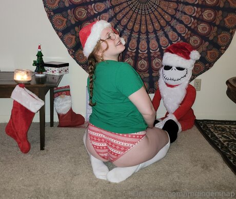 Imgingersnap beste hd bild