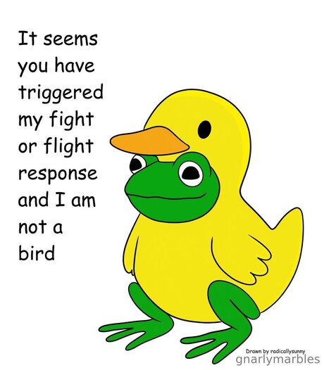 Gnarlymarbles kunst schöne fotos