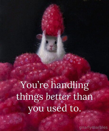 Gnarlymarbles beste nette galerie