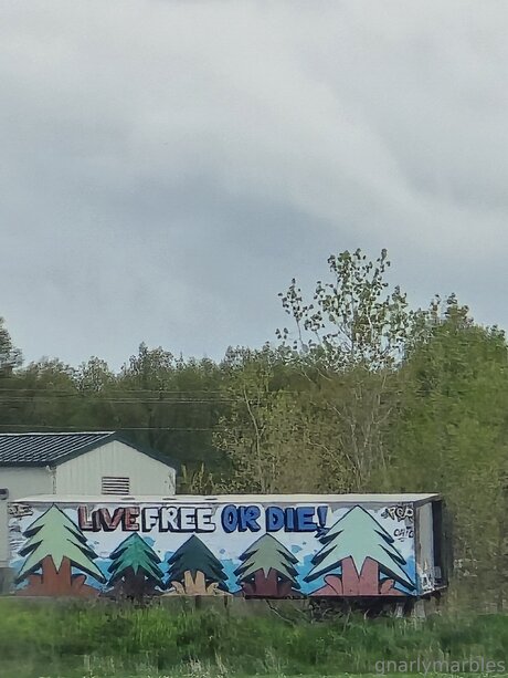 Gnarlymarbles pornostar schöne bilder