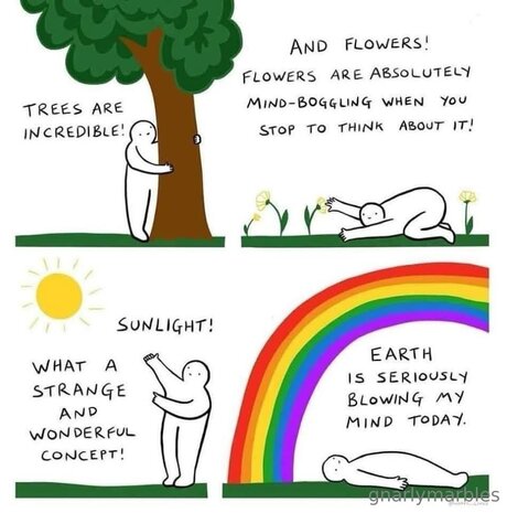 Gnarlymarbles xxx kostenlose bild