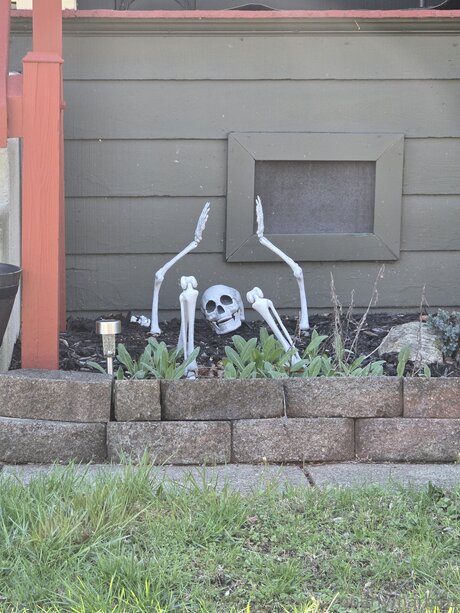 nur fans mit großem hintern heiße nackte bild