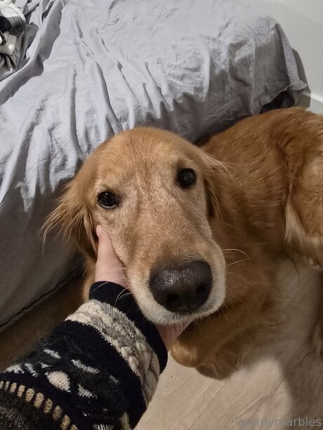 schwarze milf-onlyfans sexy nackten fotos