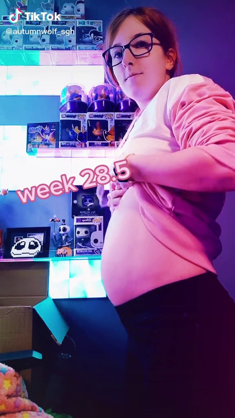 Autumn wolf perfekte freie galerien