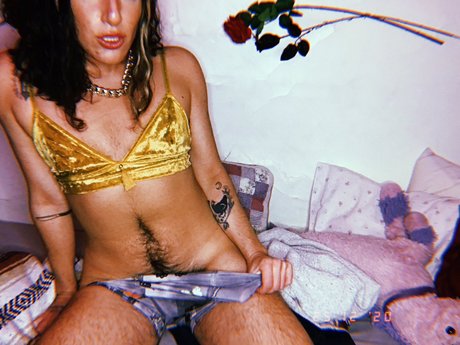 Olive Wren_ hübsche bild