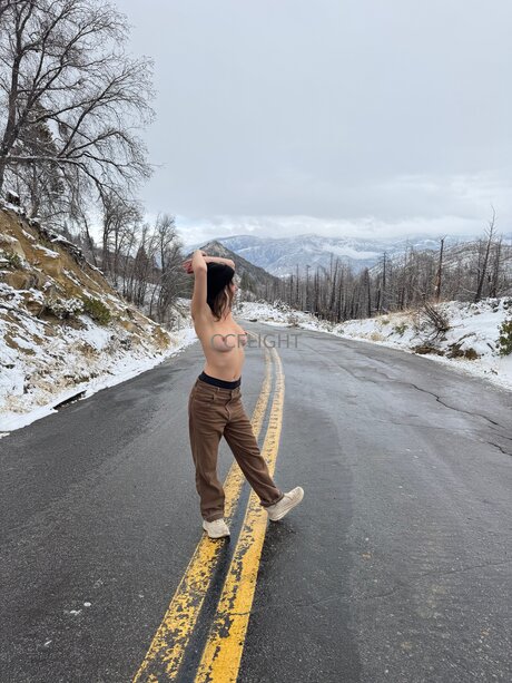 Ccflight kunst sex galerien