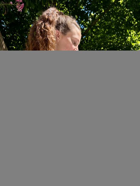 Gingerandrhettfree freie hd fotos