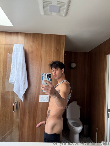 Evanlamicella Bilder