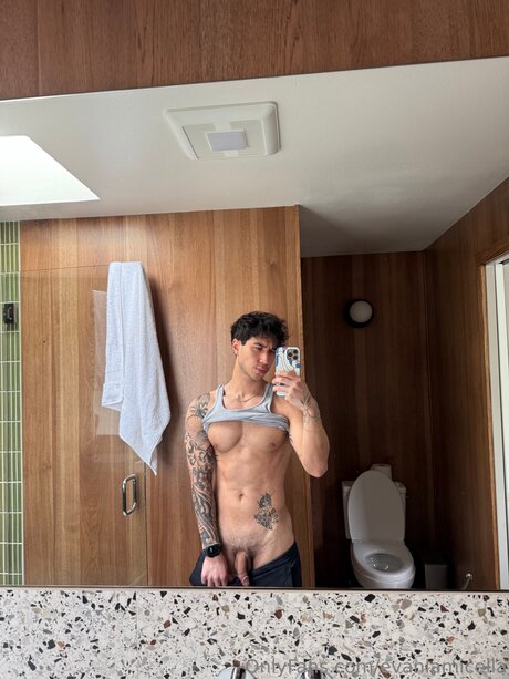 Evanlamicella perfekte galerien