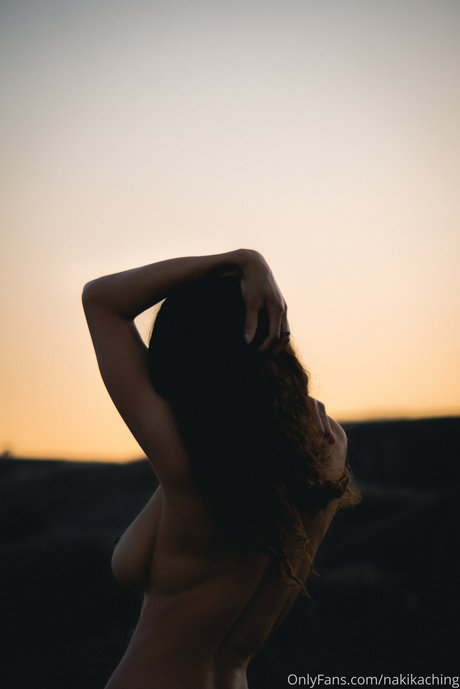 Naki Kaching_ kunst pornografische archiv